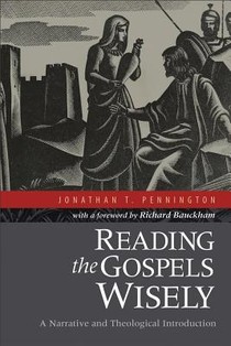 Reading the Gospels Wisely – A Narrative and Theological Introduction voorzijde