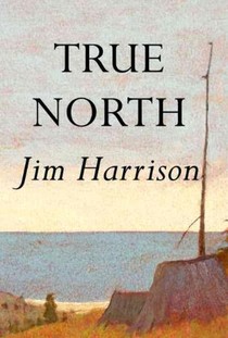 True North voorzijde