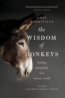 WISDOM OF DONKEYS voorzijde