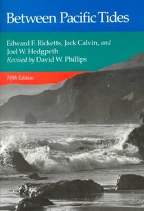 Between Pacific Tides