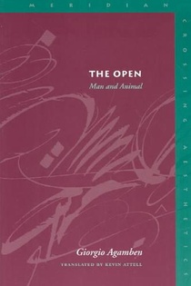 The Open