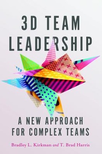 3D Team Leadership