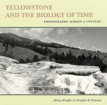 Yellowstone and the Biology of Time