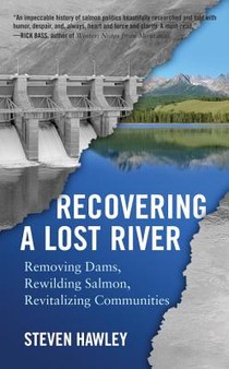 Recovering A Lost River