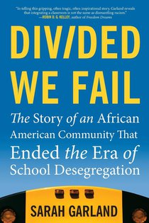 Divided We Fail