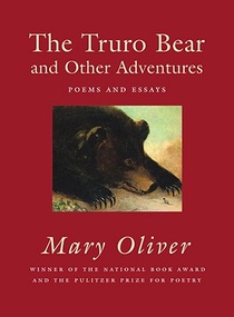 The Truro Bear and Other Adventures voorzijde