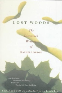 Lost Woods