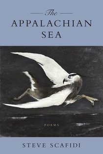 Appalachian Sea