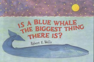 Is The Blue Whale The Biggest Thing?