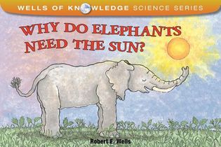 Why Do Elephants Need The Sun