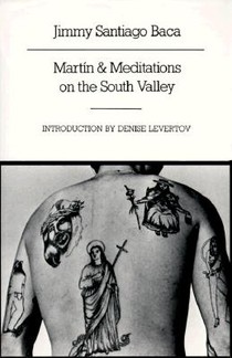 Martin and Meditations on the South Valley