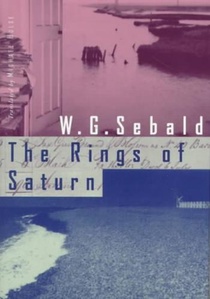 The Rings of Saturn