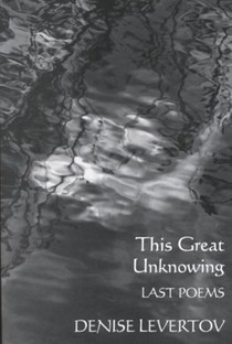 This Great Unknowing