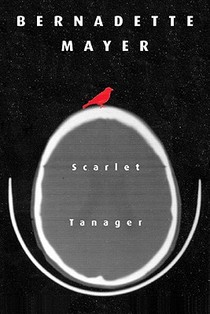 Scarlett Tanager