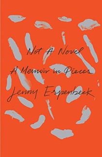 Not a Novel - A Memoir in Pieces