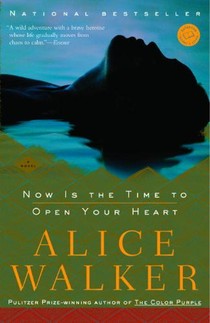 Now Is the Time to Open Your Heart