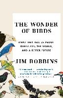 Wonder of Birds