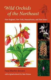 Wild Orchids of the Northeast