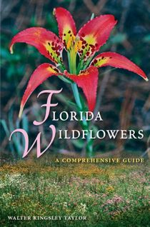 Florida Wildflowers