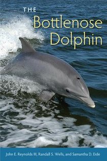 The Bottlenose Dolphin