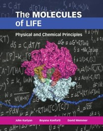 The Molecules of Life