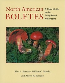 North American Boletes