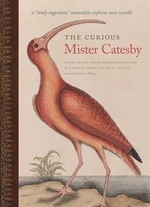 The Curious Mister Catesby voorzijde