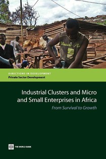 Industrial Clusters and Micro and Small Enterprises in Africa