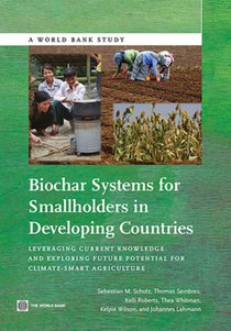 Biochar Systems for Smallholders in Developing Countries