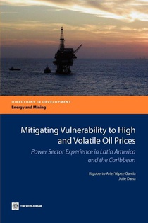 Mitigating Vulnerability to High and Volatile Oil Prices