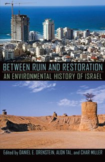 Between Ruin and Restoration