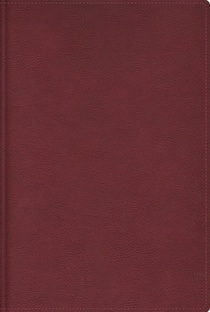 Rvr, Biblia de Estudio Trasfondo Cultural (El Contexto Lo Cambia Todo), Leathersoft, Rojo Vino, Interior a Color, Comfort Print: Explora El Mundo Anti
