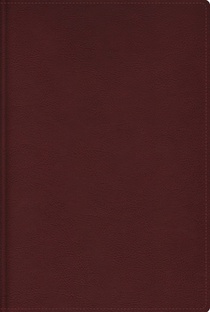 Rvr, Biblia de Estudio Trasfondo Cultural (El Contexto Lo Cambia Todo), Leathersoft, Rojo Vino, Interior a Color, Con Índice, Comfort Print: Explora E