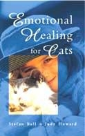 Emotional Healing For Cats