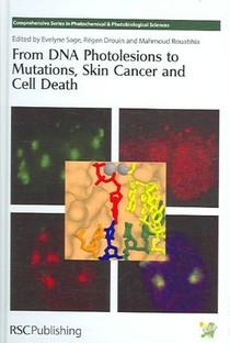 From DNA Photolesions to Mutations, Skin Cancer and Cell Death