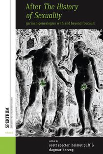 After The History of Sexuality