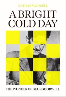 A Bright Cold Day