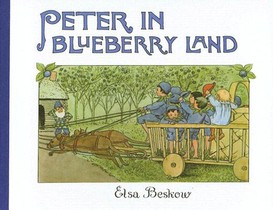 Peter in Blueberry Land voorzijde