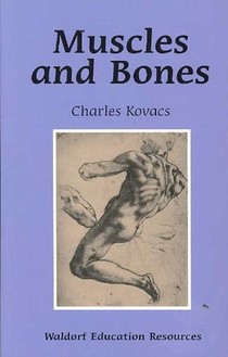 Muscles and Bones