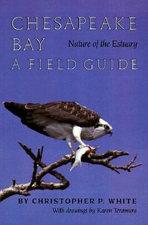 Chesapeake Bay Nature of the Estuary