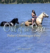 Out of the Sea, Today’s Chincoteague Pony