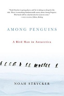 Among Penguins voorzijde
