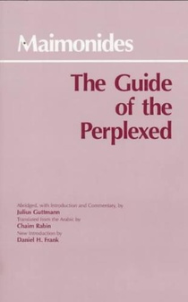 The Guide of the Perplexed voorzijde