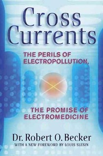 Cross Currents: The Perils of Electropollution, the Promise of Electromedicine