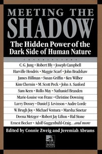 Meeting the Shadow