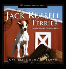 Brown, C: Jack Russell Terrier