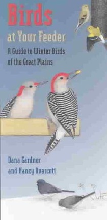 Birds at Your Feeder