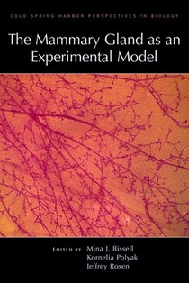 Bissell, M: Mammary Gland as an Experimental Model