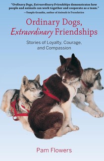 Ordinary Dogs, Extraordinary Friendships