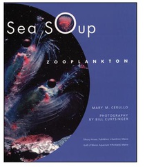 Sea Soup: Zooplankton